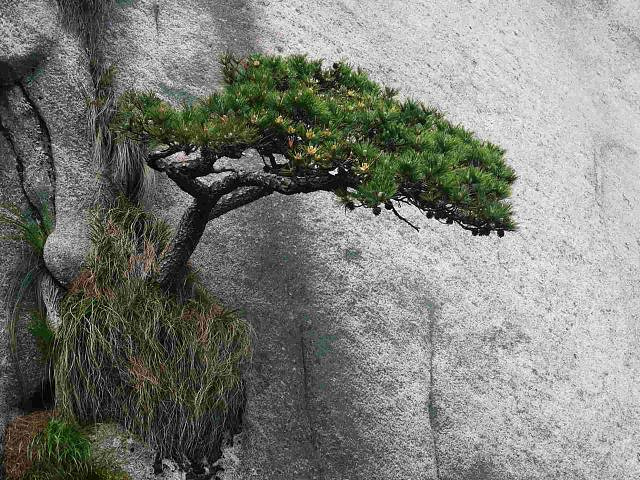 "_天柱山"的评论图片