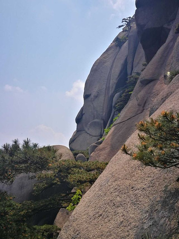 "_天柱山"的评论图片