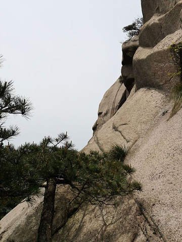 "_天柱山"的评论图片