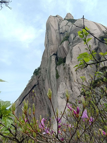 "_天柱山"的评论图片