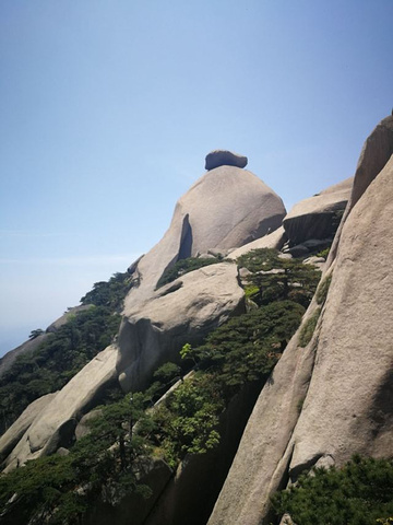 "青山绿水，感觉眼睛都明亮了。松树郁郁葱葱，满目青翠。紫色杜鹃花点缀期间，摇曳生姿_天柱山"的评论图片