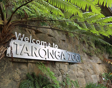 塔龙加动物园旅游景点攻略图