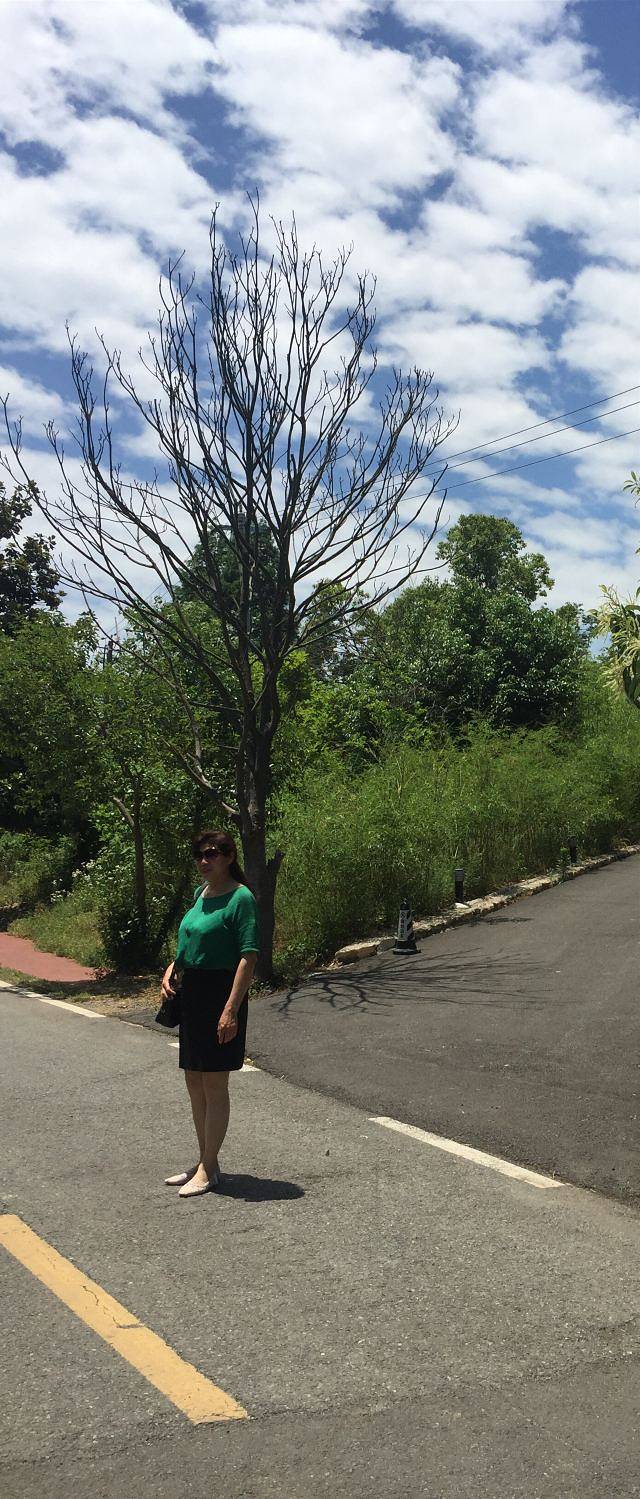 铁山寺国家森林公园