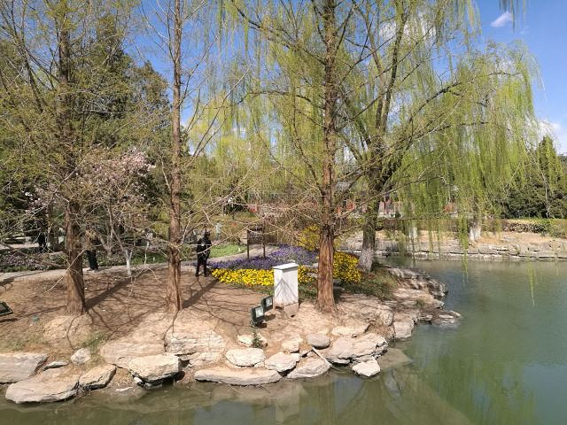 "在中山公园的最南面有一个上世纪三十年代建造的水榭和人工小岛，水边的柳树倒映在静静的水面上，感觉好极了_中山公园"的评论图片