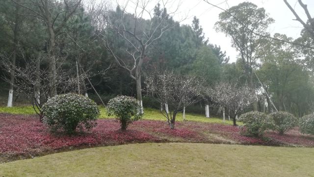 庐山石门涧风景区