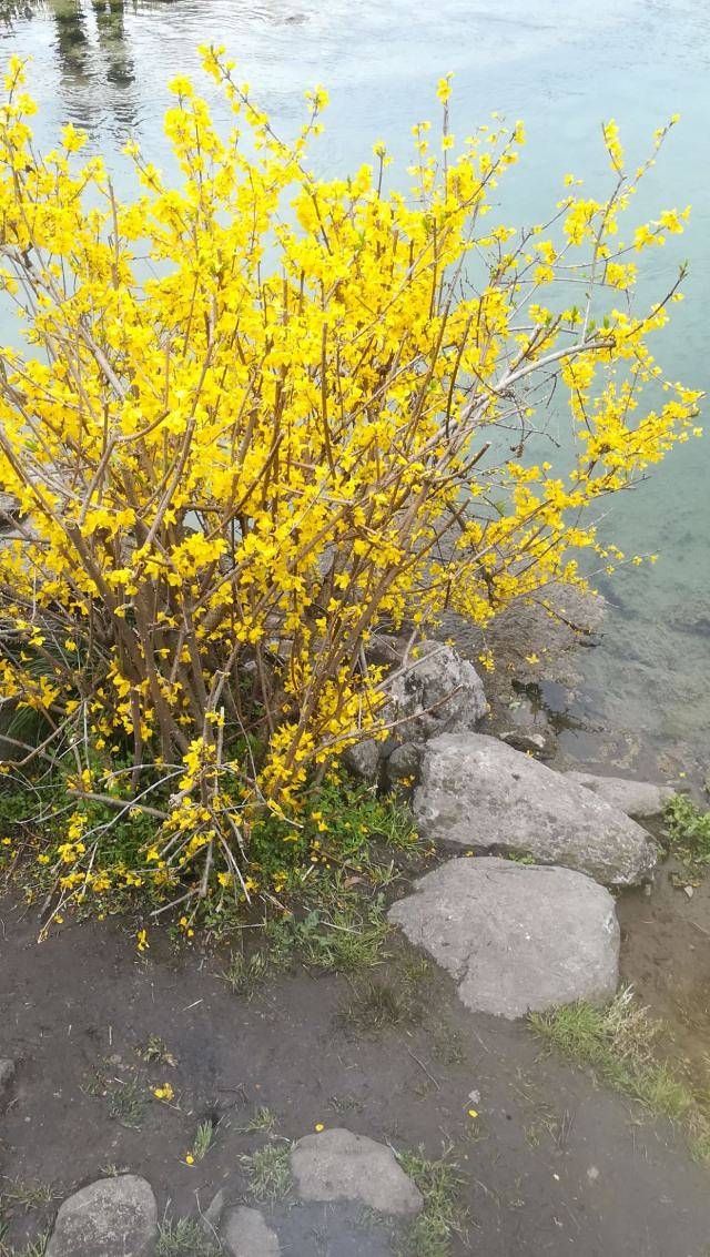 庐山石门涧风景区