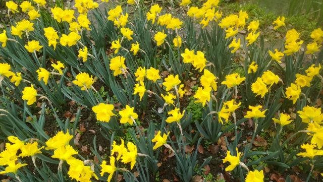 庐山石门涧风景区