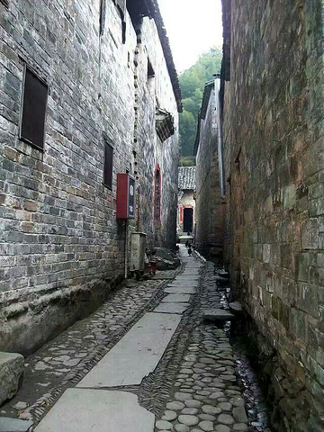 "中国风格各异的美丽乡村多的是。但有书称她为“中国最美丽的乡村”，有些以偏概全，只能说是“最美之一”_理坑"的评论图片