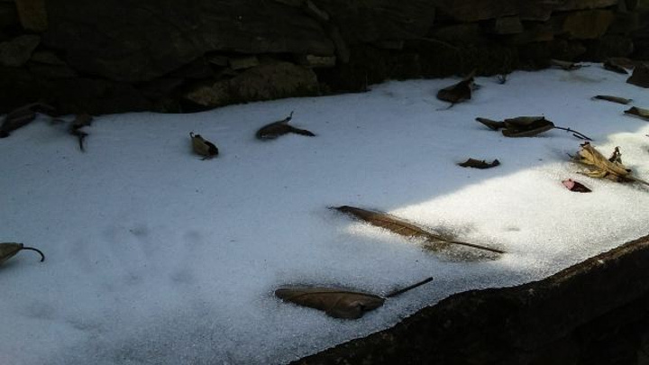 "木兰山，武汉老牌景点，应该算是武汉周边最早的一个景点了_木兰山"的评论图片