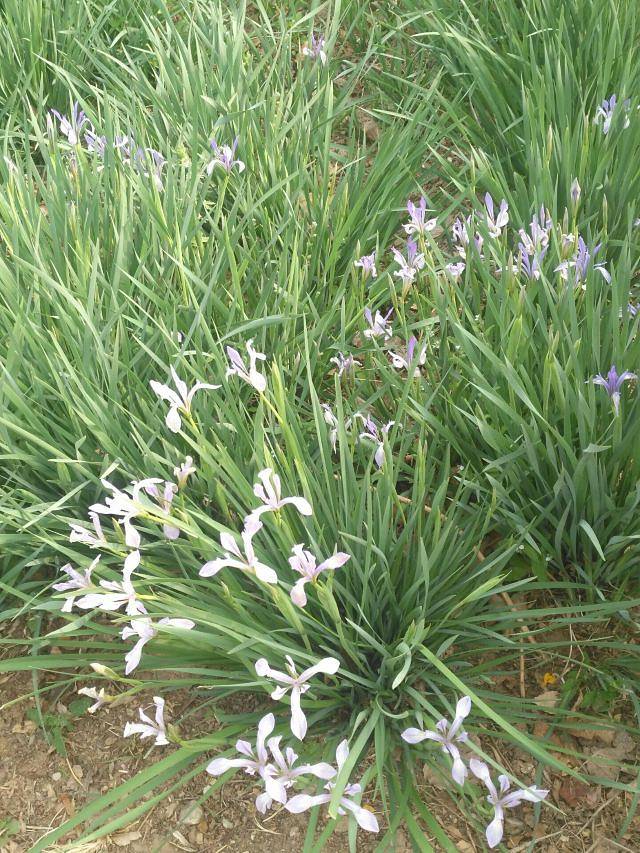 北京国际雕塑公园