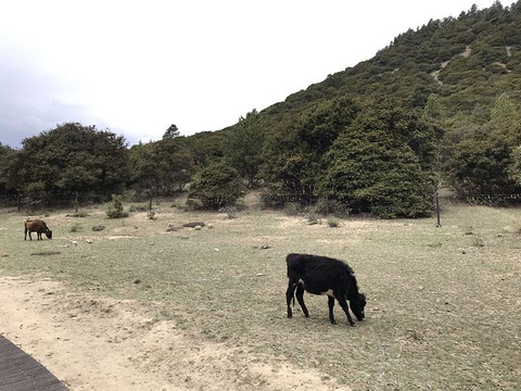 比日神山生态景区旅游景点图片