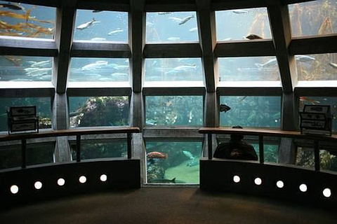 西雅图水族馆旅游景点攻略图