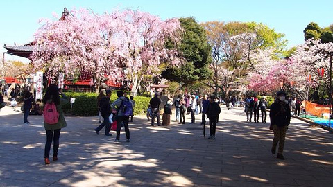 上野公园旅游景点攻略图