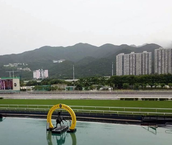 "赛马是香港很多老百姓茶余饭后一个娱乐项目，马场很漂亮，马匹的骑手也是亮点，一匹好马需要匹配一位..._沙田马场"的评论图片