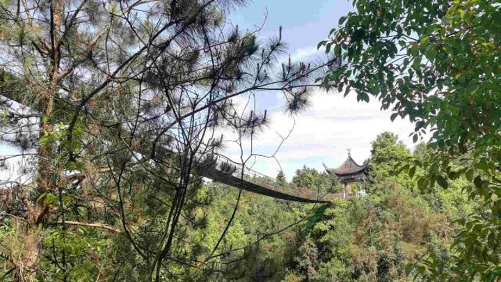 "但其实后面还有一大片花园，山水楼阁都有，没有旅游团很安静，自由行的人可以去走走_恩施土司城"的评论图片