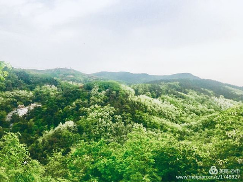 临朐黑松林旅游景点图片