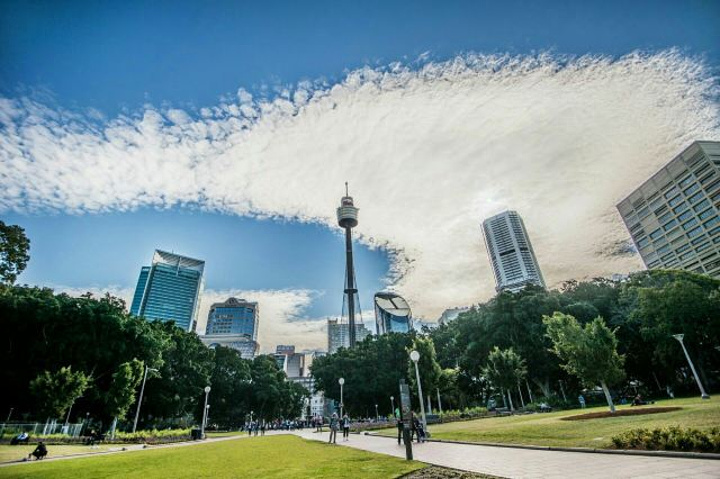 "悉尼的海德公园，是一处规模宏大景色优美的中心花园_海德公园"的评论图片
