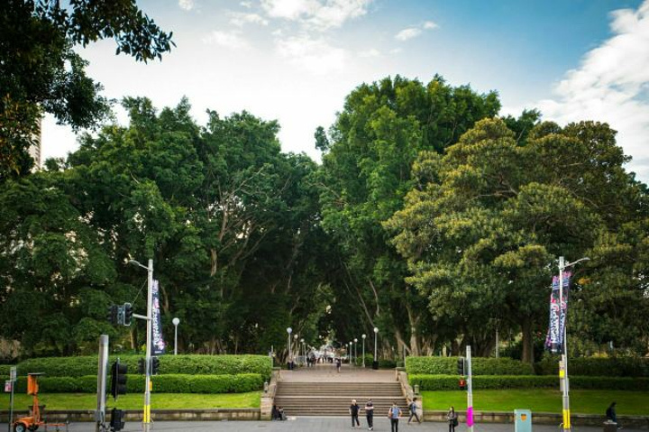 "悉尼的海德公园，是一处规模宏大景色优美的中心花园_海德公园"的评论图片