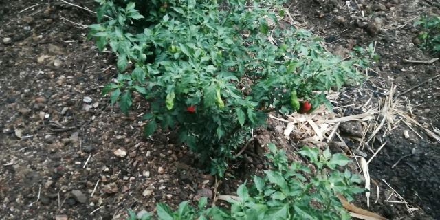 翁丁原始部落文化旅游区