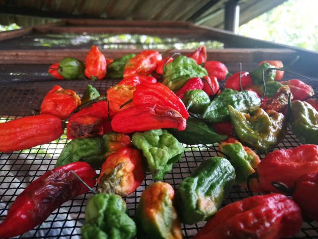 翁丁原始部落文化旅游区