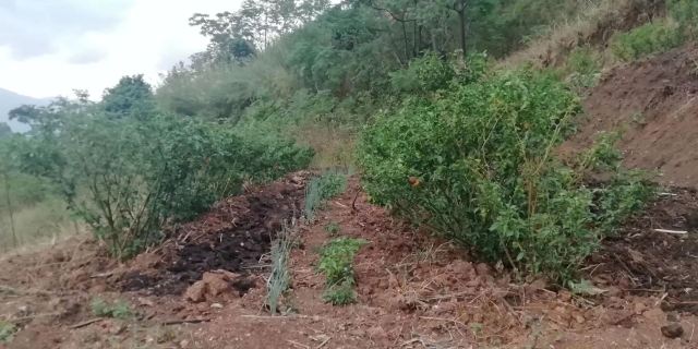 翁丁原始部落文化旅游区