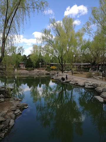 "中山公园里我最喜欢水榭，这个建于上世纪三十年代的建筑，引进了江南园林的元素，精巧别致，水榭旁有..._中山公园"的评论图片
