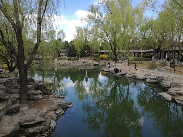 "中山公园里我最喜欢水榭，这个建于上世纪三十年代的建筑，引进了江南园林的元素，精巧别致，水榭旁有..._中山公园"的评论图片