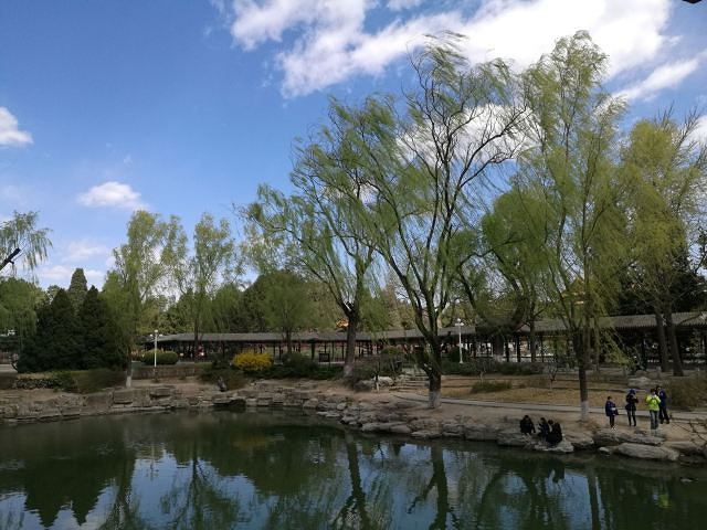 "中山公园的水榭位于中山公园南部，靠近长安街，在这里有一个小岛，岸上种植了很多垂柳_中山公园"的评论图片