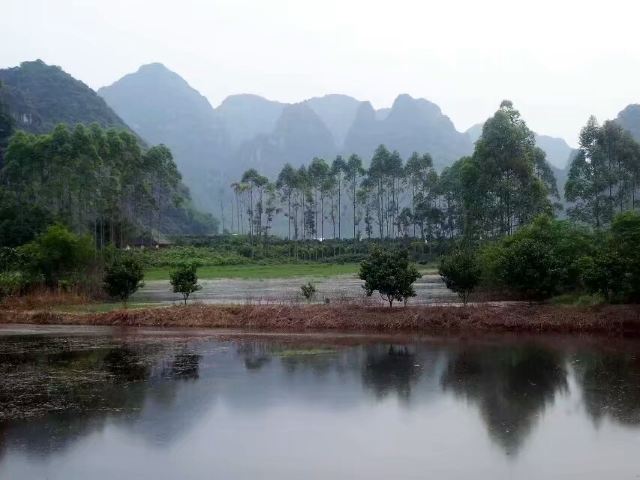 清远鱼水旅游风景区