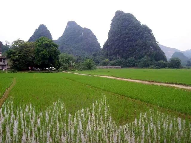 清远鱼水旅游风景区