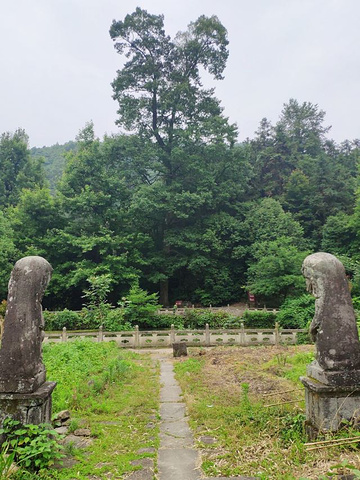 "——游古西径山&#x0A;适合小众游客，探究原始森林山路_西径山"的评论图片