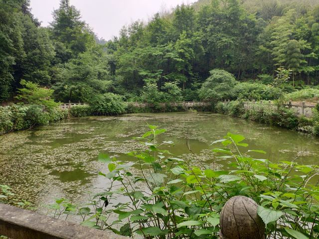 "——游古西径山&#x0A;适合小众游客，探究原始森林山路_西径山"的评论图片