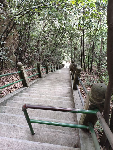 "——游古西径山&#x0A;适合小众游客，探究原始森林山路_西径山"的评论图片