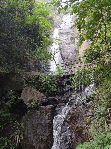 "——游古西径山&#x0A;适合小众游客，探究原始森林山路_西径山"的评论图片