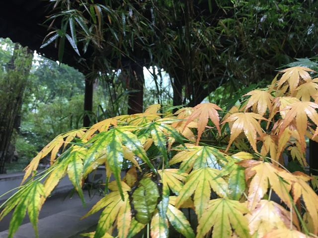 "这个季节算是淡季！【景色】&#x0A;自然也是多了一份美好！南京郊外的栖霞山其实是盛名远扬的_栖霞山"的评论图片