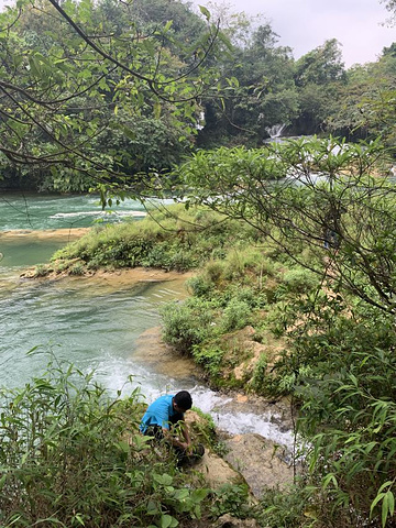 "_德天跨国瀑布景区"的评论图片