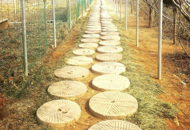 天谷·天然地下画廊