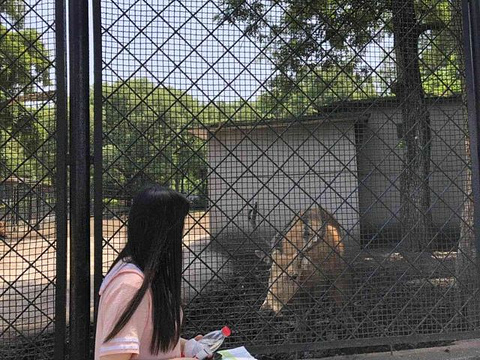 武汉动物园旅游景点攻略图