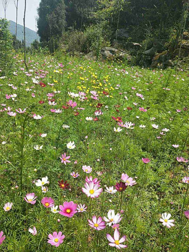 天眼洞花岭风景区