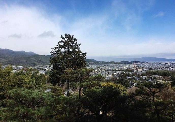 "风景漂亮的岚山&#x0A_岚山"的评论图片