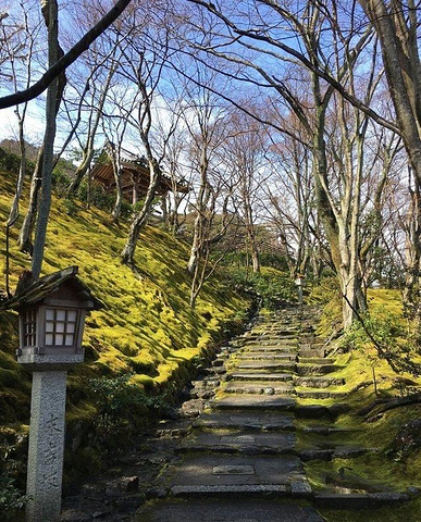 "我猜每一个游览京都的人都想要看看竹林，因此你一定要来岚山镇，这里不仅仅是竹林_岚山"的评论图片
