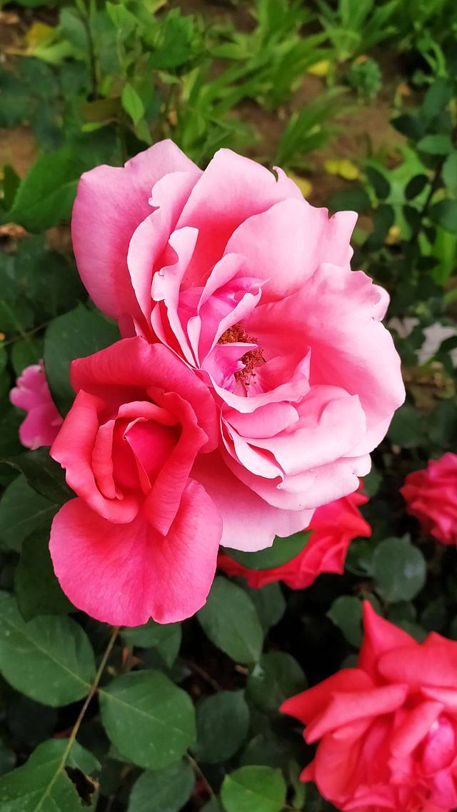 明城墙遗址公园