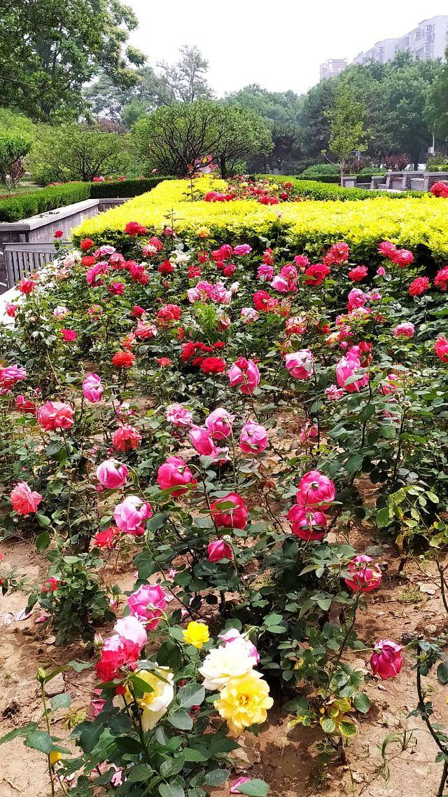 明城墙遗址公园