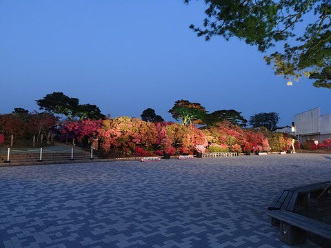 Aloha Garden Tateyama旅游景点图片