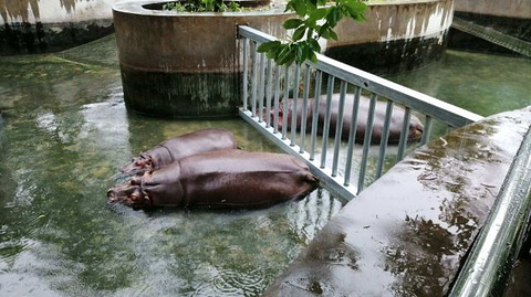 秦岭野生动物园旅游景点攻略图