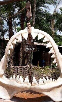 迪士尼飓风湖水上乐园