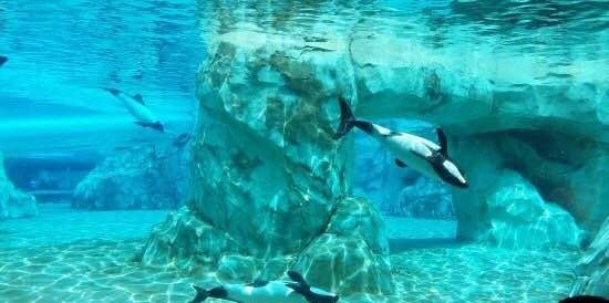 奥兰多水上乐园