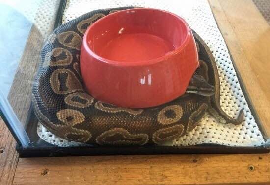 好玩角主题乐园