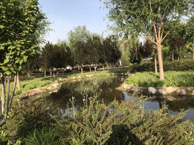 夹山国家森林公园