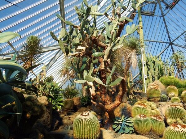 伊豆古兰帕鲁公园